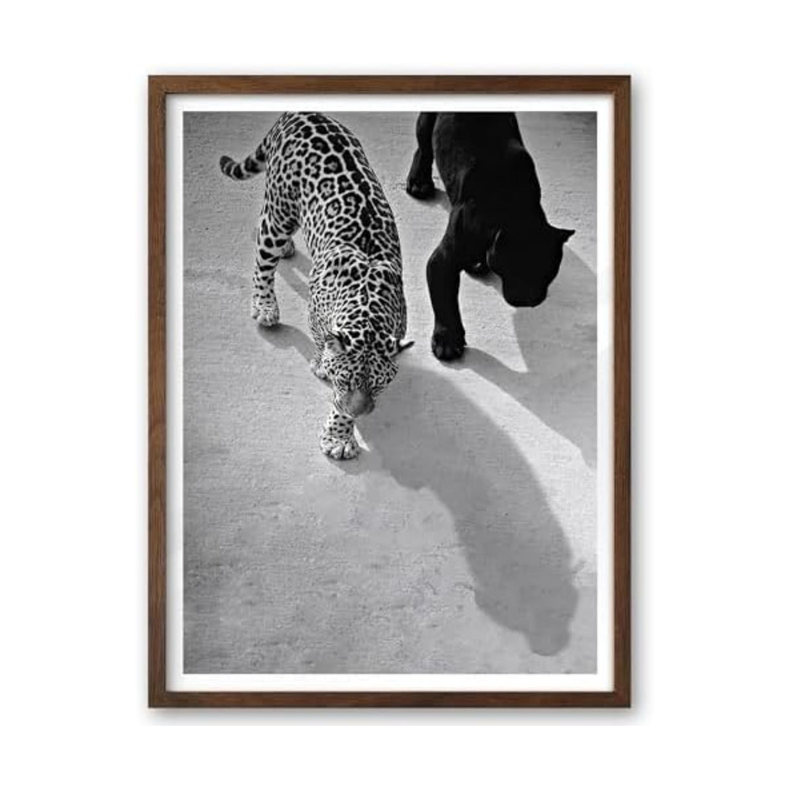 EcoHest 12x16 in Cheetah and Jaguar Walking Framed Wall Art
