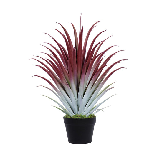 Artificial Aloe Vera Plant / Red / 2 Inch / Set of 26