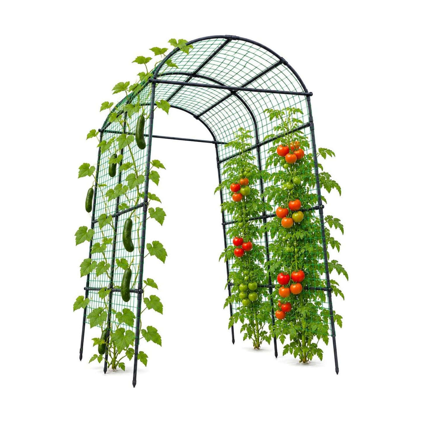 FOLLOOK Garden Arch Trellis for Climbing Plants Outdoor, 7.8 ft, Black | Cucumber Trellis for Raised Garden Bed