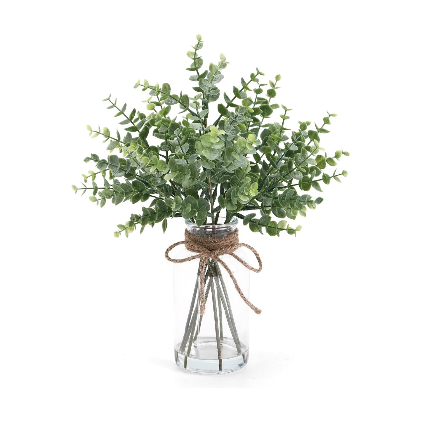 Eucalyptus Stems in Glass Vase / Green
