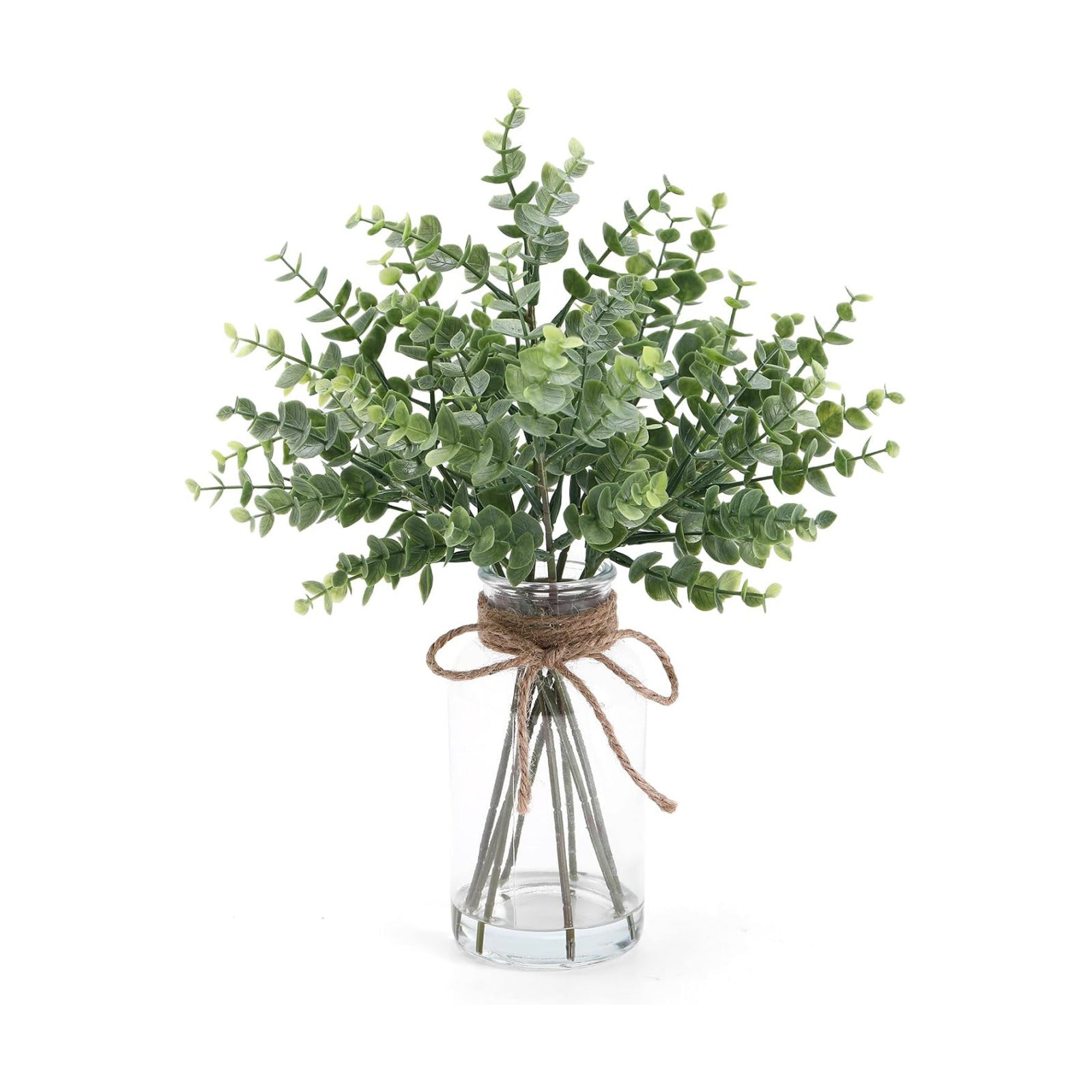 Eucalyptus Stems in Glass Vase / Green