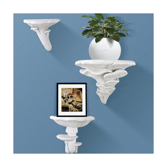 Mushroom Shelves Floating Shelf Cottage Core Wall Decor Hanging Shelf / White / Set of 3