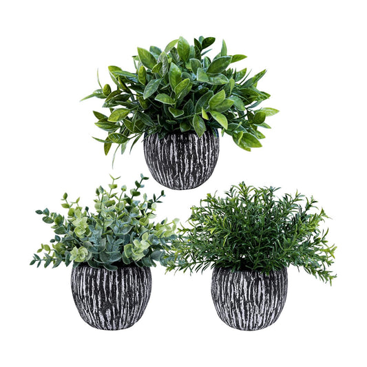 Artificial Potted Plants Faux Eucalyptus Rosemary Boxwood Greenery in & White / Black / Set of 3