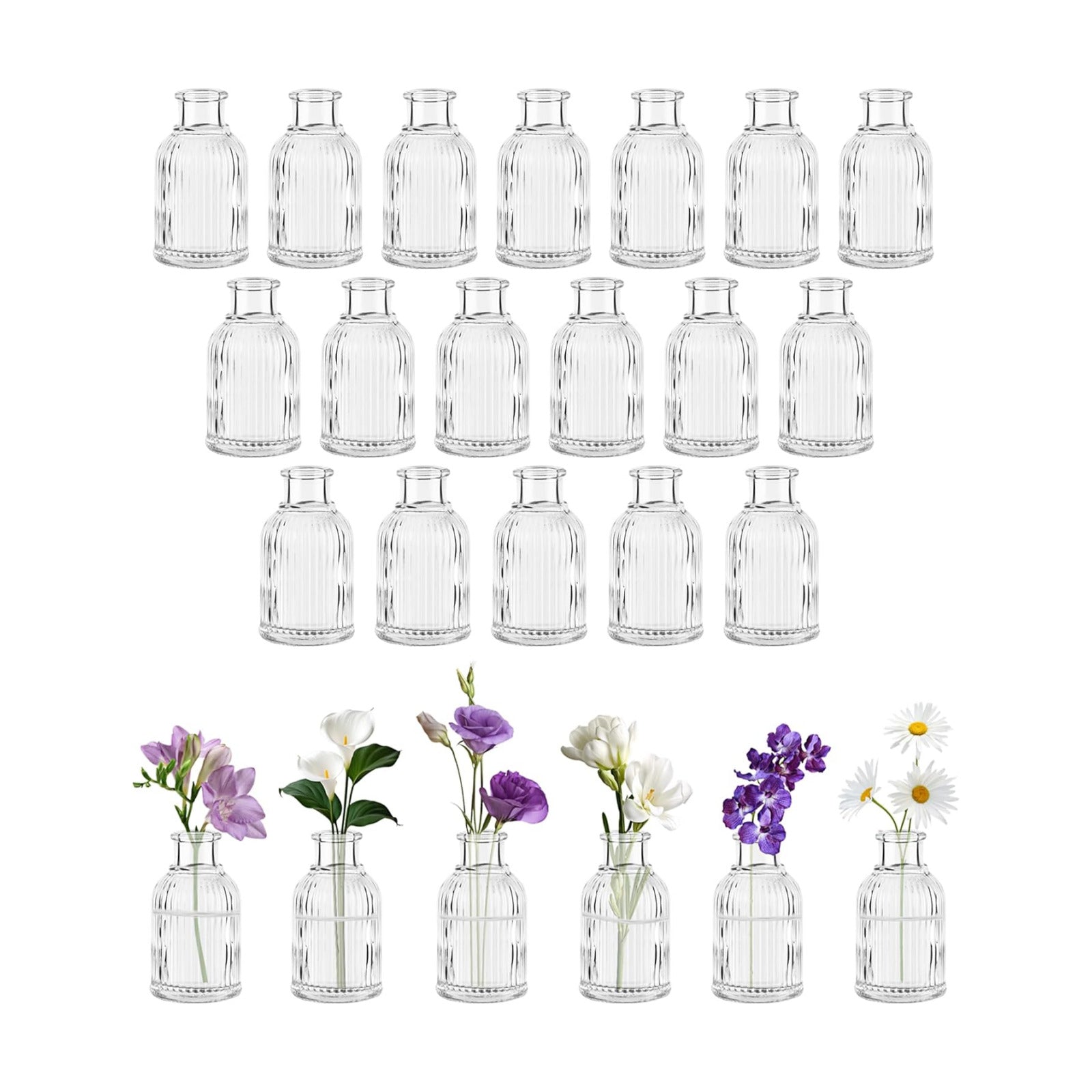 Glass Bud Vases / Clear / Set of 24