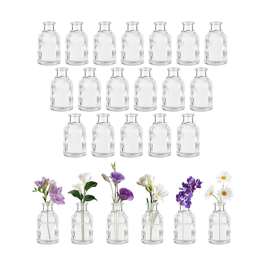 Glass Bud Vases / Clear / Set of 24