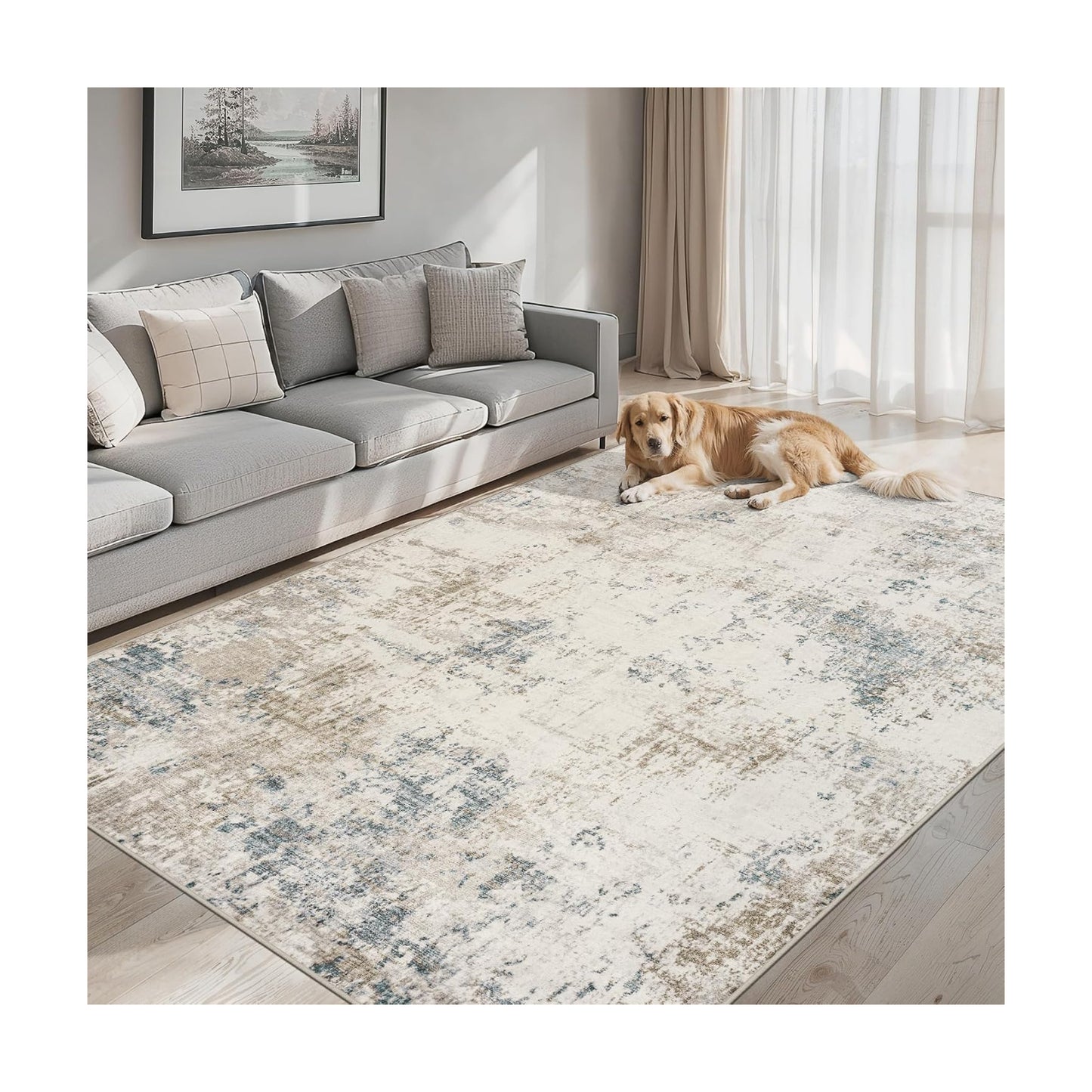 PLHXFR Area Rug Living Room: 4x6 Modern Abstract Washable Carpet Multi