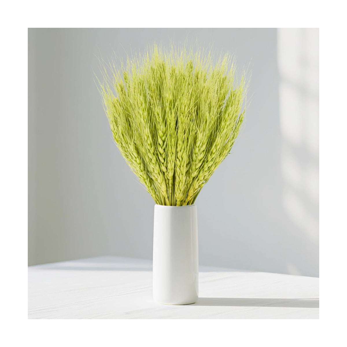 Sukh 50 Stems Dried Wheat Stalks - Green Wheat Straw for Vases 13.3 in