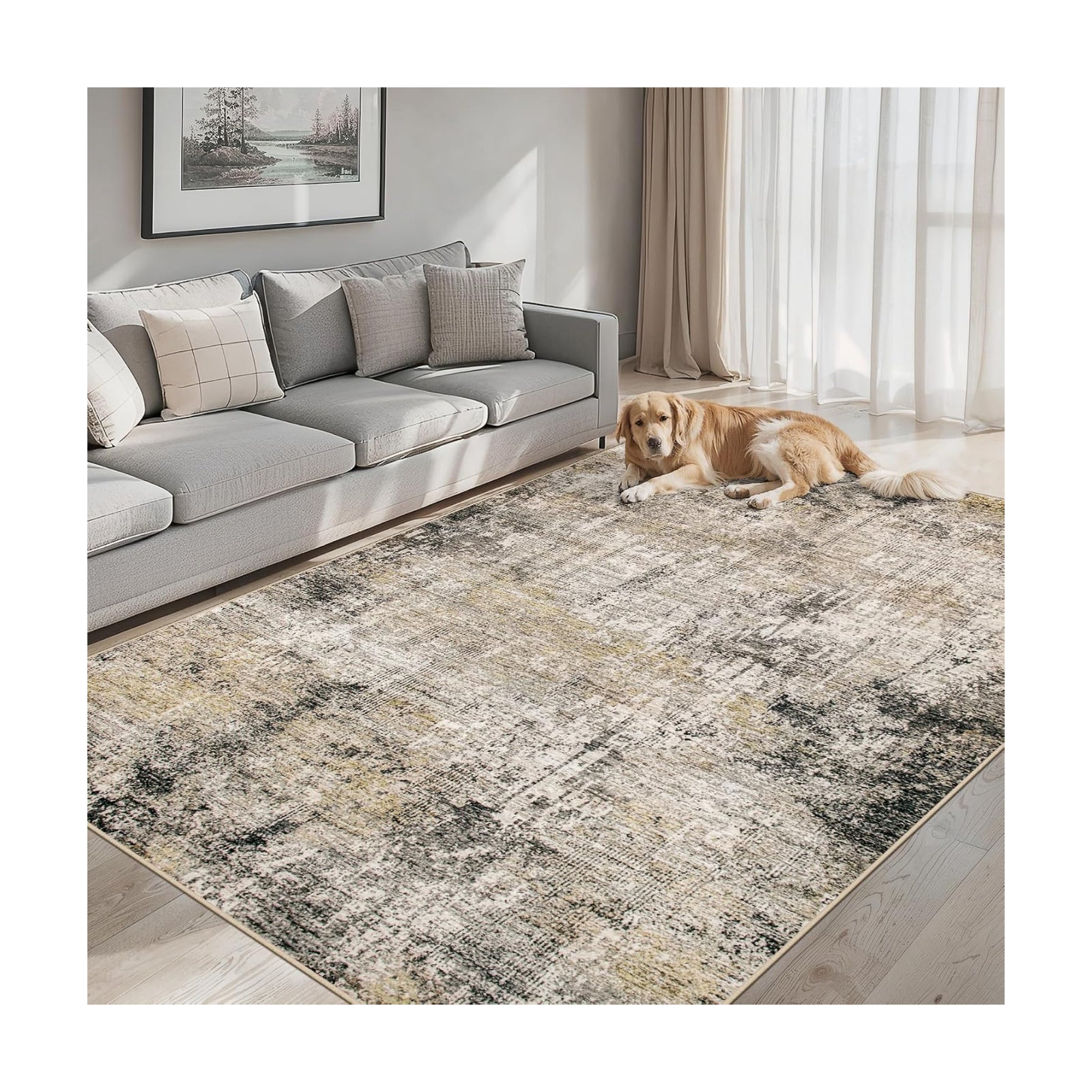 PLHXFR Area Rug Living Room: 4x6 Abstract Washable Carpet Brown Black