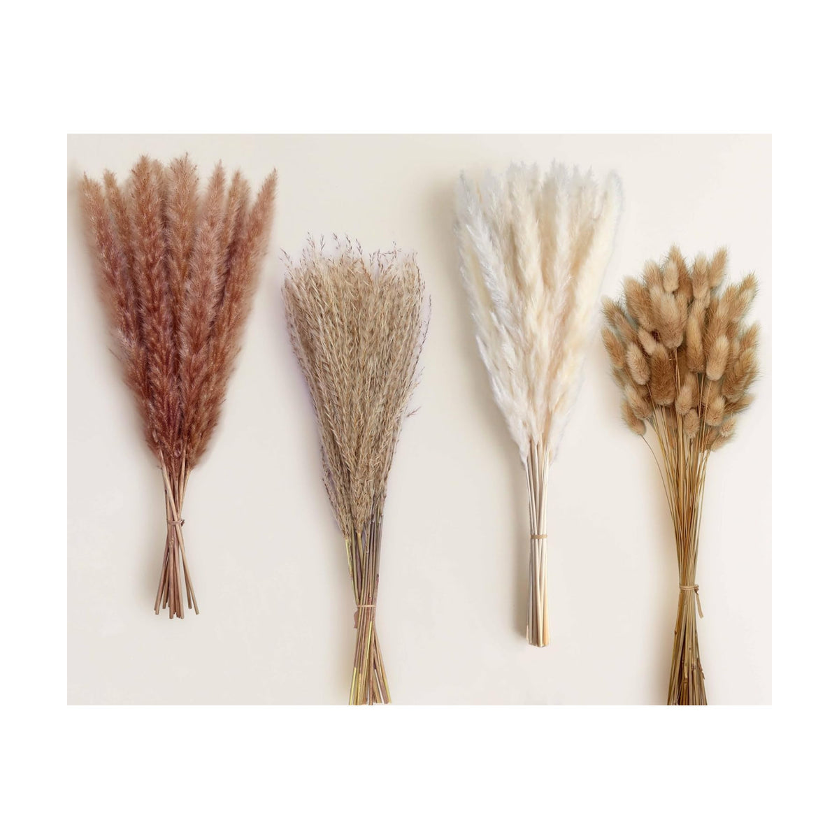 110 Stems 17" Dried Pampas Grass, Boho Table Decor Natural Reed Phragmites Grass + Brown & White Pampas Grass + Bunny Tails Flowers Bouquet for Wedding Floral Arrangements Farmhouse Home Rustic Wall