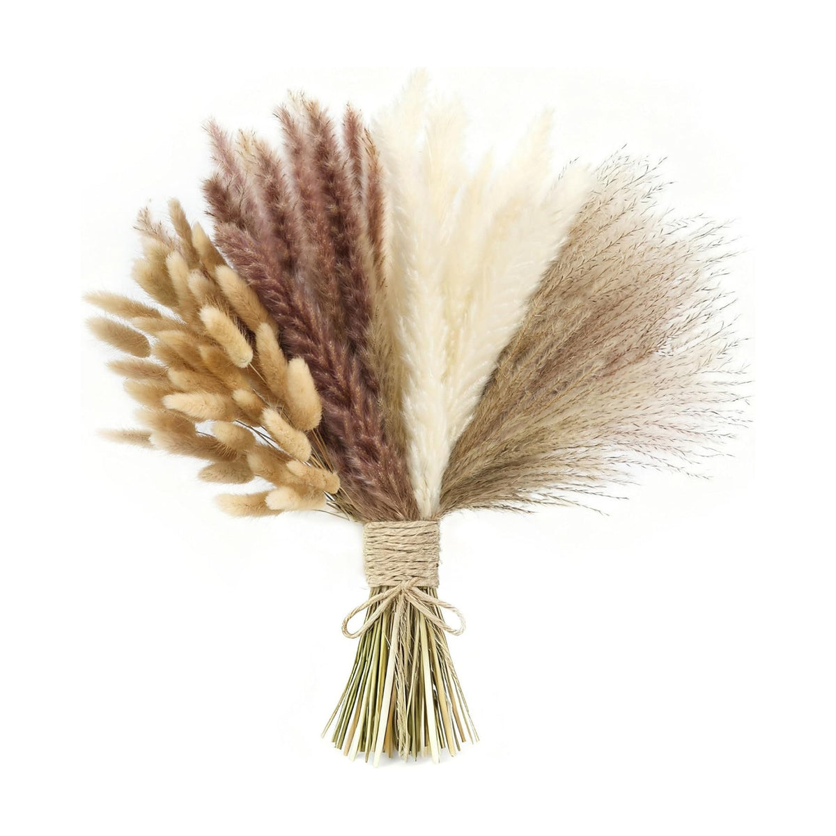 xin's convey 110pcs Dried Pampas Grass, (Vase Not Included),Dried Flower Bouquet, Reed Grass Bouquet for Boho Floral Home, Wedding Party Centerpiece, Rustic Farmhouse Decoration.(Brown)