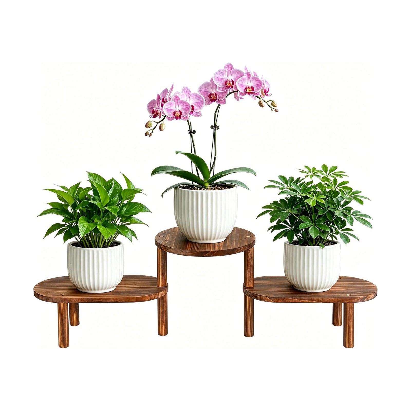 Corner Plant Stand Indoor, Adjustable Convex Round Flower Stand | Heavy Duty 3 Tier Long Plant Shelf Indoor, Deformed