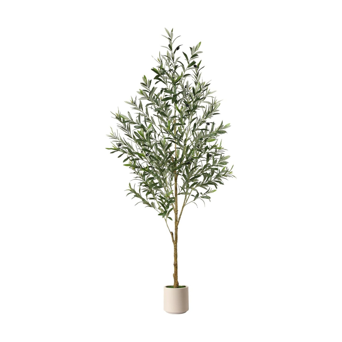 Faux Silk Plant / 6ft / 6 Inch
