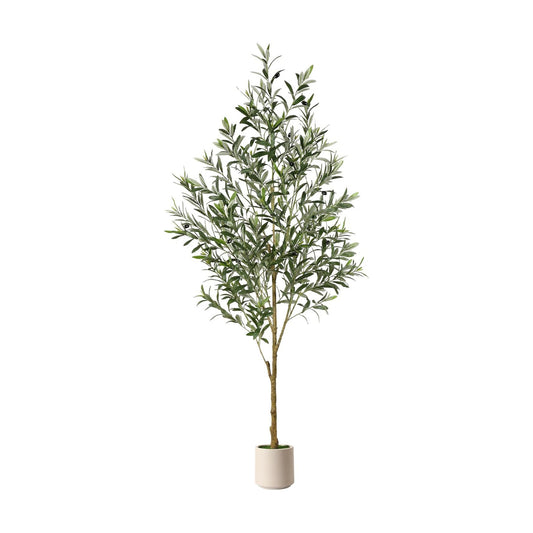 Faux Silk Plant / 6ft / 6 Inch