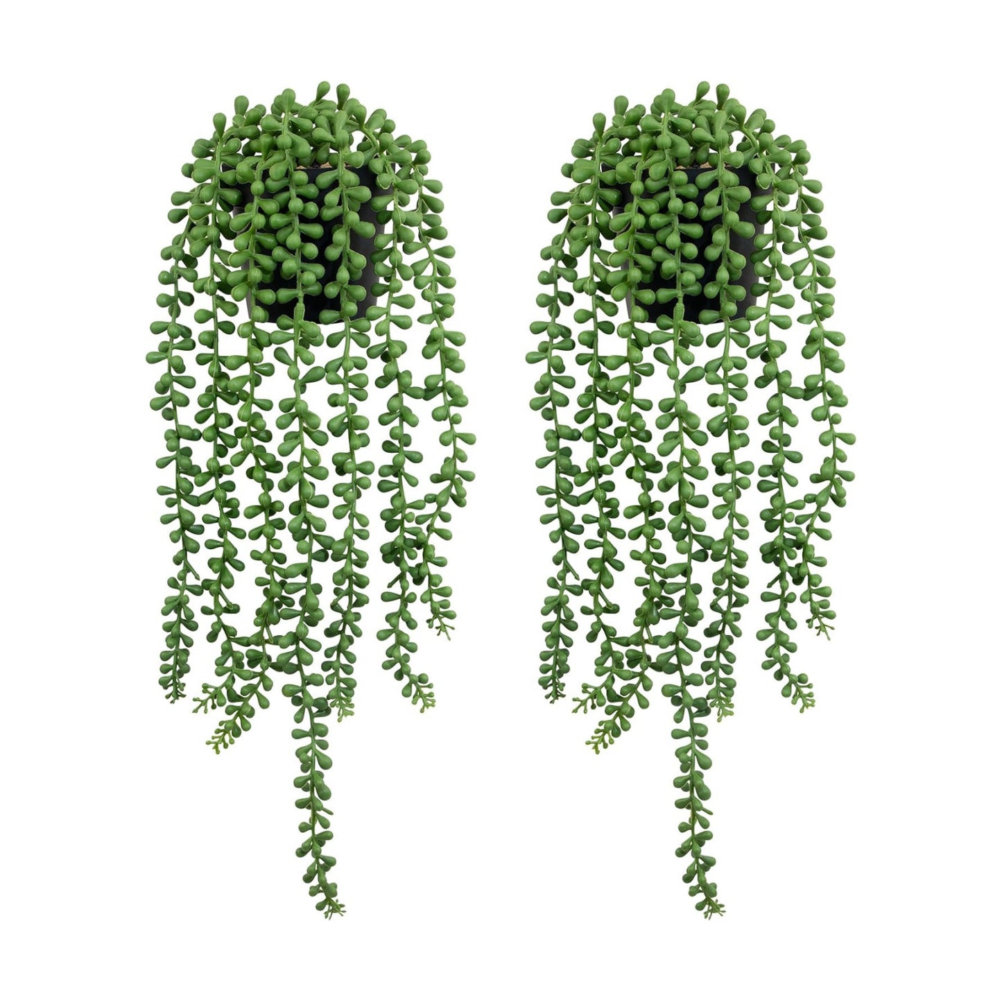 Lifelike Artificial Plant / String of Pearls / Black / Set of 2