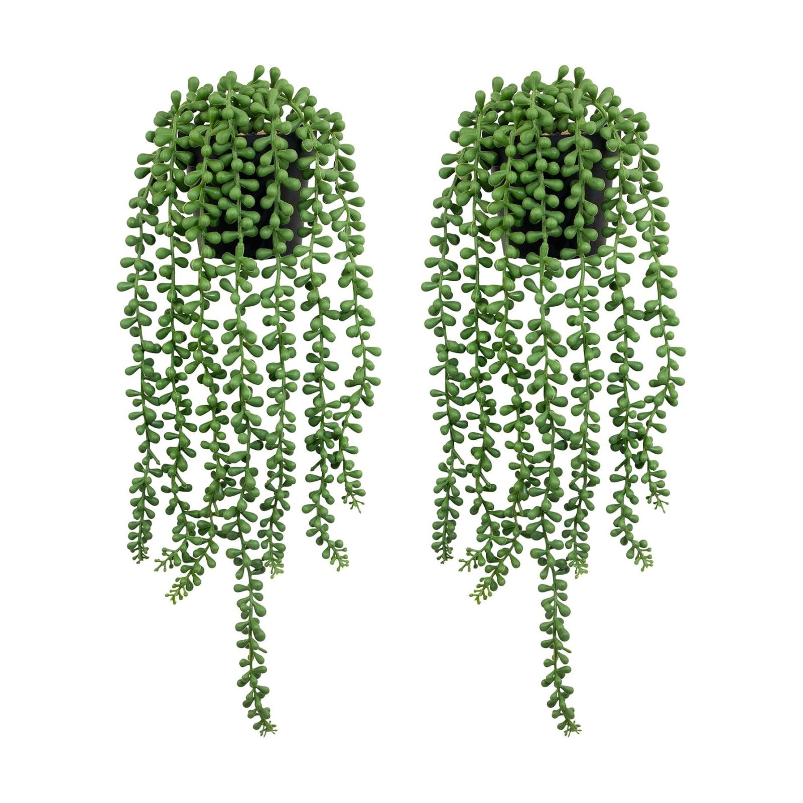 Lifelike Artificial Plant / String of Pearls / Black / Set of 2