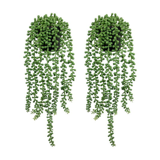 Lifelike Artificial Plant / String of Pearls / Black / Set of 2
