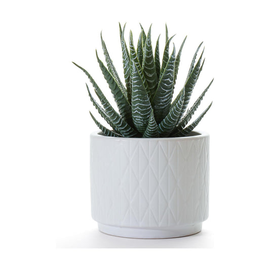 Artificial Succulent Plant in Matte Ceramic Pot / White