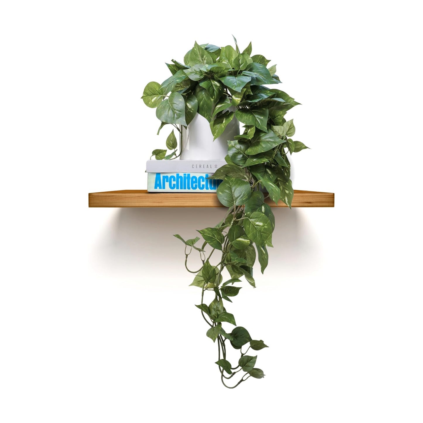ROVALA Silk Plants / 02 Dark Green