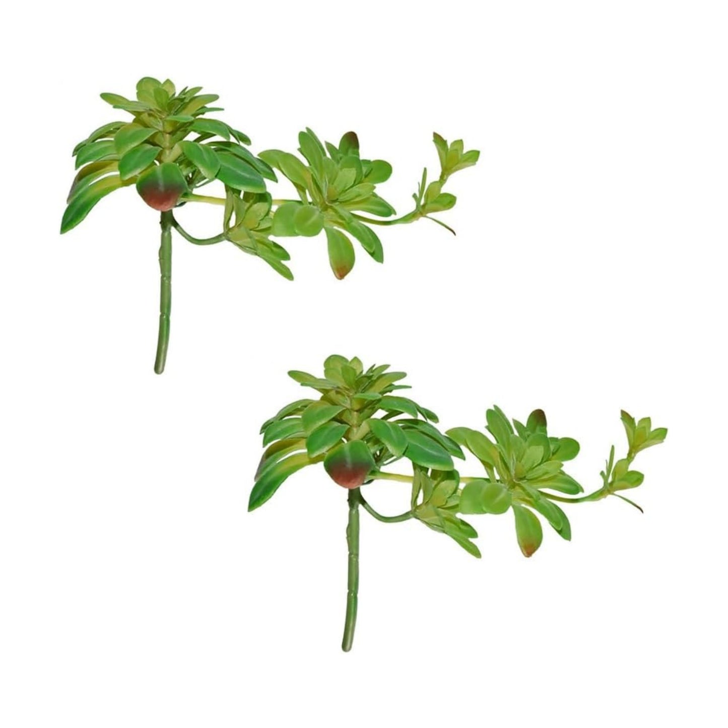 Artificial Succulent Plants / Green / Set of 2