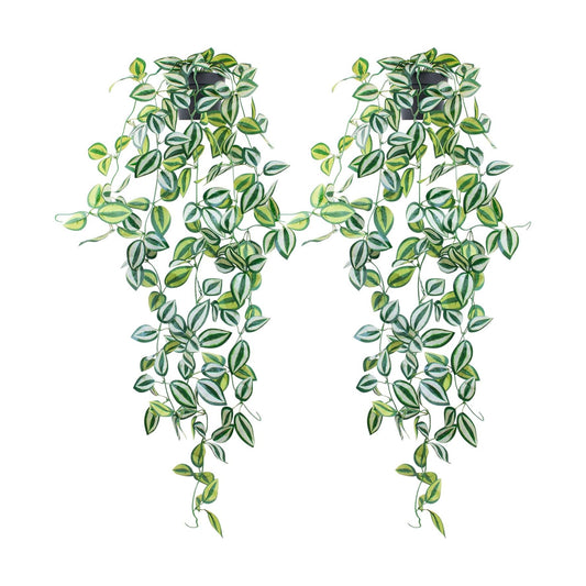 Fake Hanging Plants / Eyebrow / Green / Set of 2
