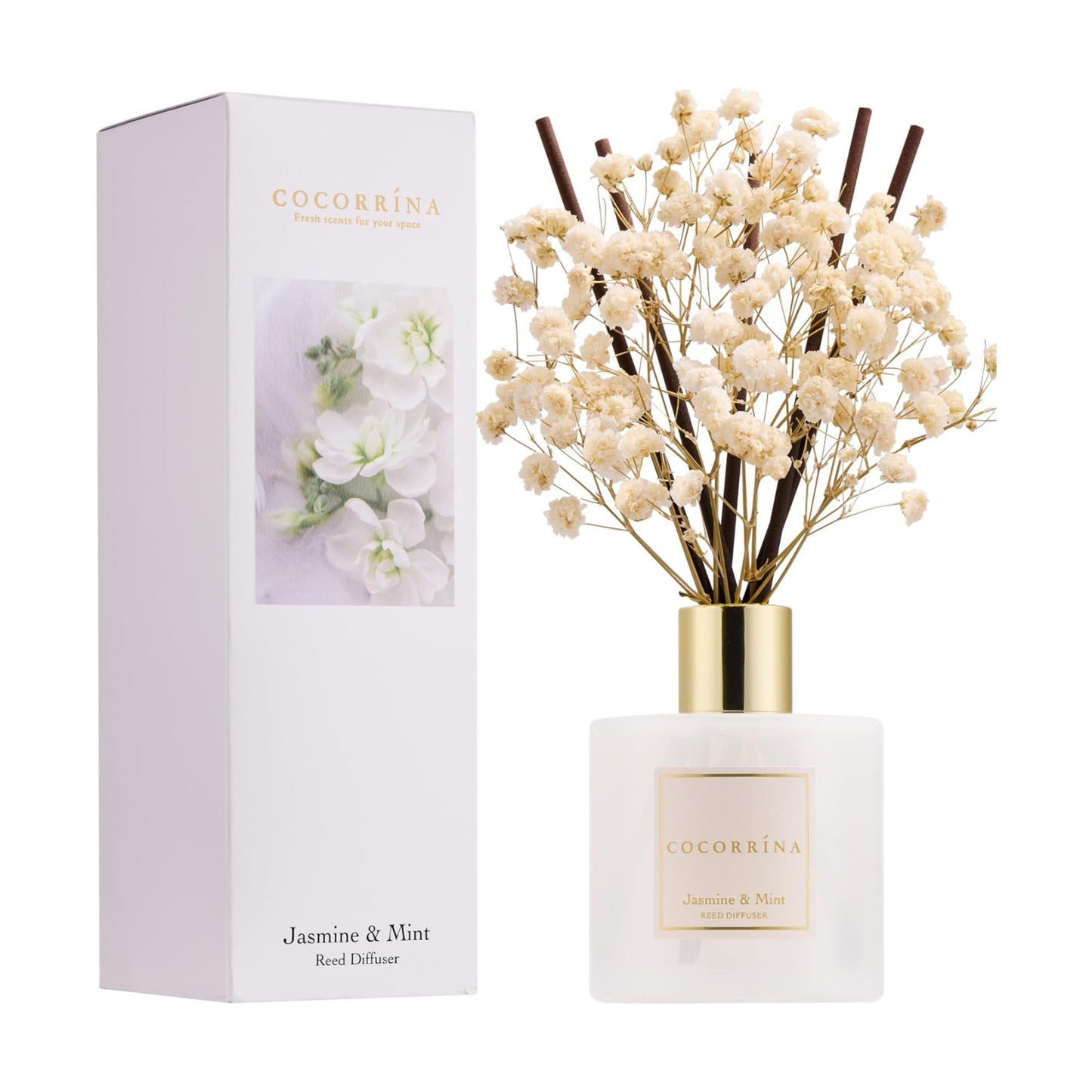 COCORRÍNA Reed Diffuser - Jasmine & Mint 6.7 Fl.oz Reed Diffuser Set with Sticks & Preserved Baby's Breath, Reed