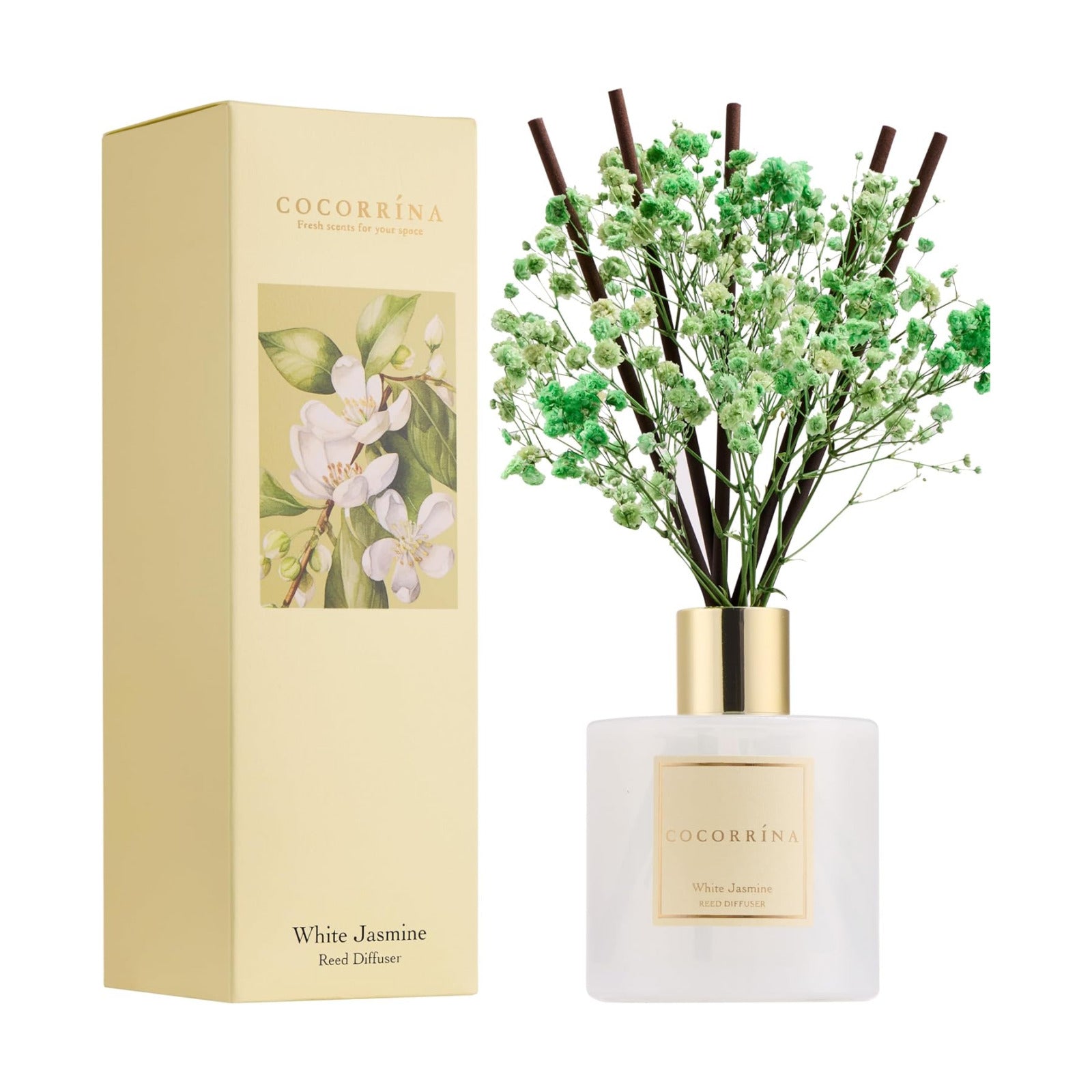 COCORRÍNA Reed Diffuser - White Jasmine 6.7 Fl.oz Reed Diffuser Set with Sticks & Preserved Baby's Breath, Reed