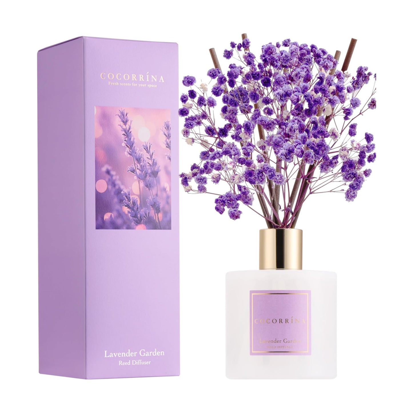 COCORRÍNA Reed Diffuser - Lavender Garden 6.7 Fl.oz Reed Diffuser Set with Sticks & Preserved Baby's Breath, Reed