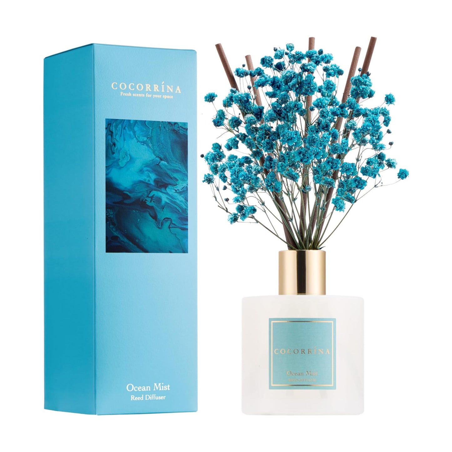 COCORRÍNA Reed Diffuser - Ocean Mist 6.7 Fl.oz Reed Diffuser Set with Sticks & Preserved Baby's Breath, Reed Diffuser