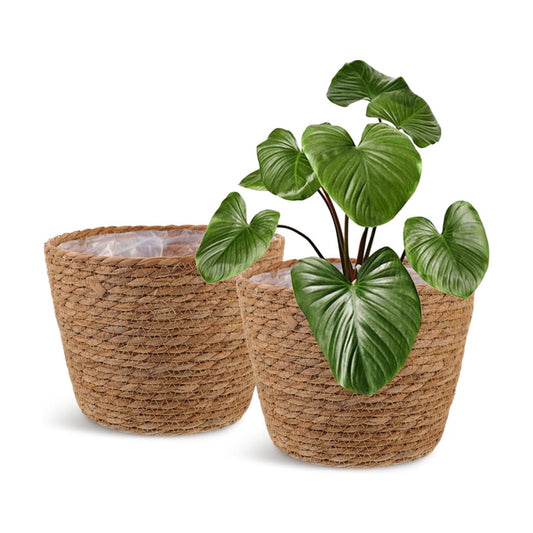 Woven Plant Baskets / Set of 2