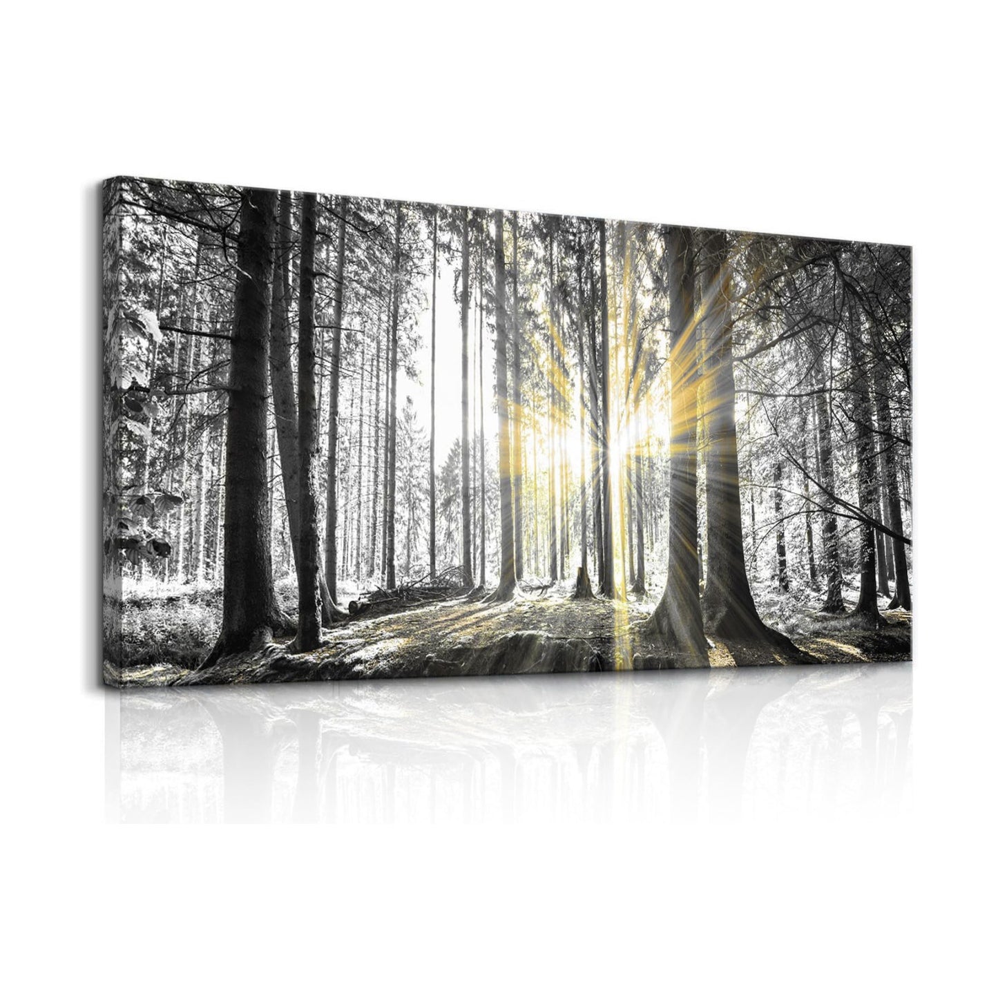 White Forest Wall Art Prints Sunset Landscape Canvas Picture / Blandcape-wb / 40"L x 20"W / Black