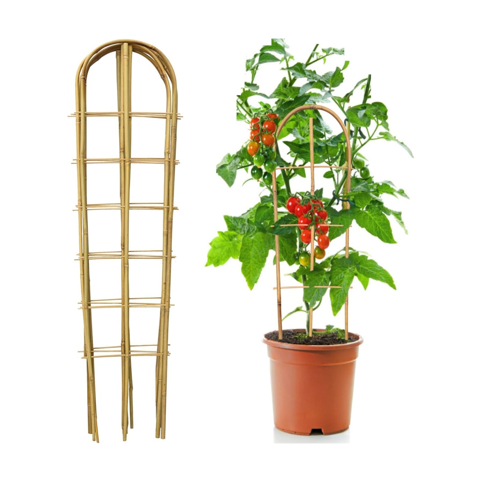 SWANGSA 6 Pack 4Ft U-Shape Bamboo Trellis for Climbing Plants, Garden Ladder Trellis for Outdoor and Indoor Plant