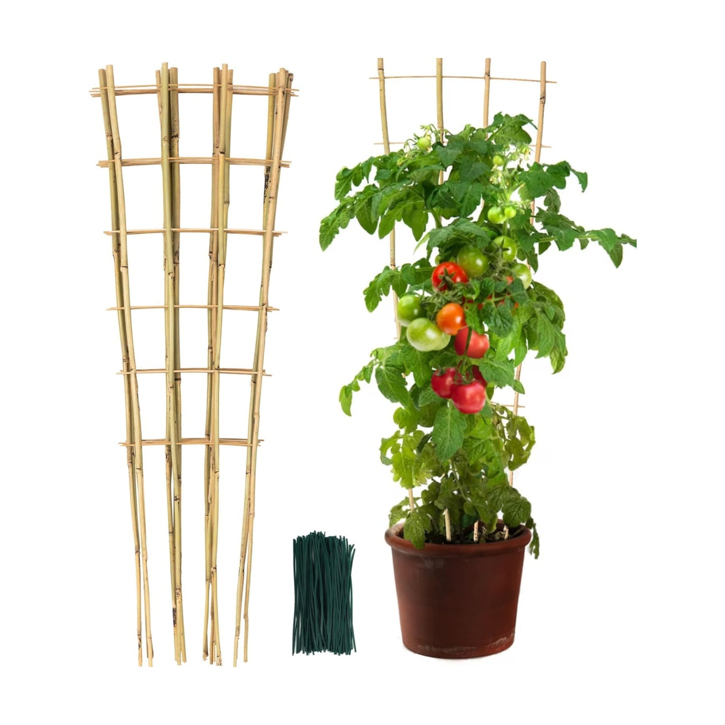 SWANGSA 6 Pack 4Ft Bamboo Trellis for Climbing Plants, Fan-Shaped Garden Ladder Trellis with 100pcs Twist Ties for