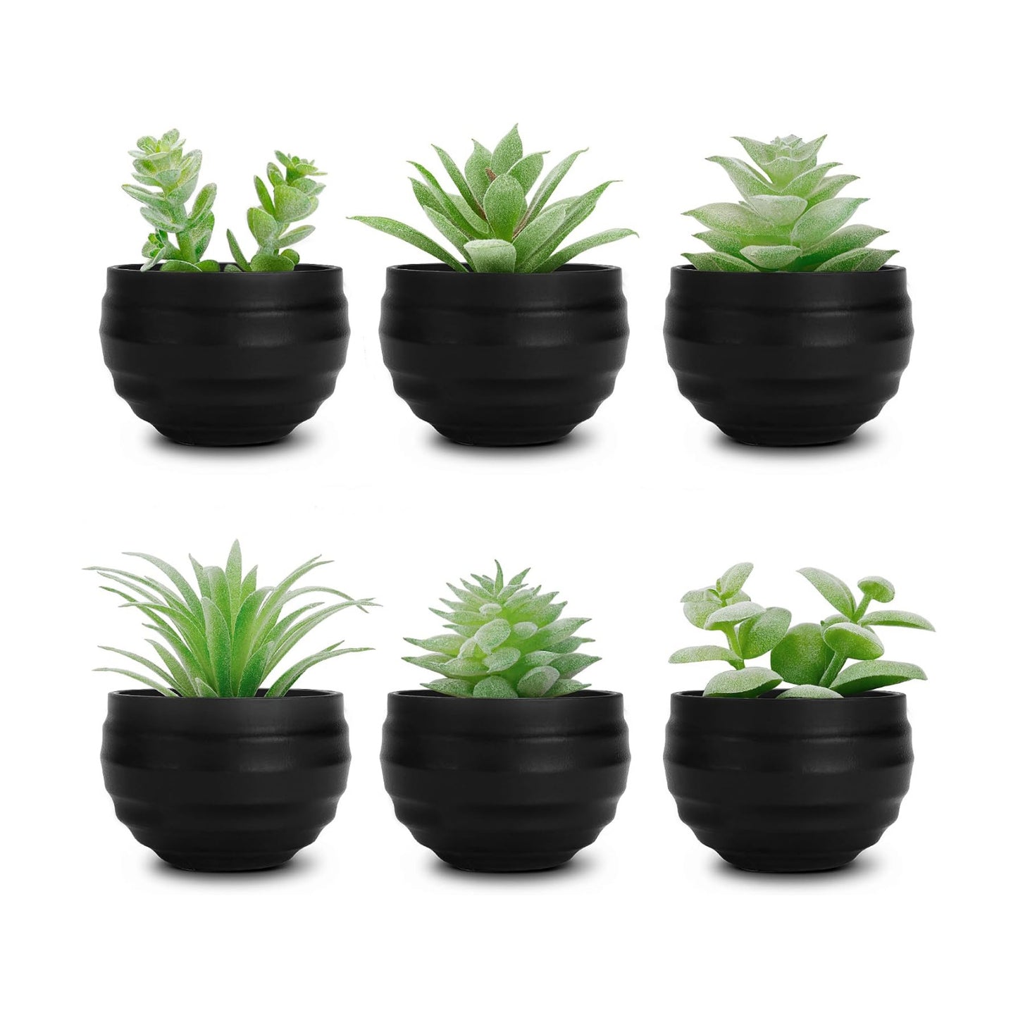 Succulents Plants Artificial in Pots Small Fake Plants for Halloween Decorations / Black / Set of 6