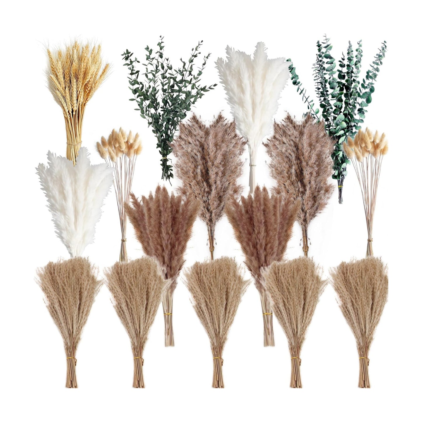 Pampas Grass & White Pampas Grass for Boho Baby Shower / Brown / Set of 350