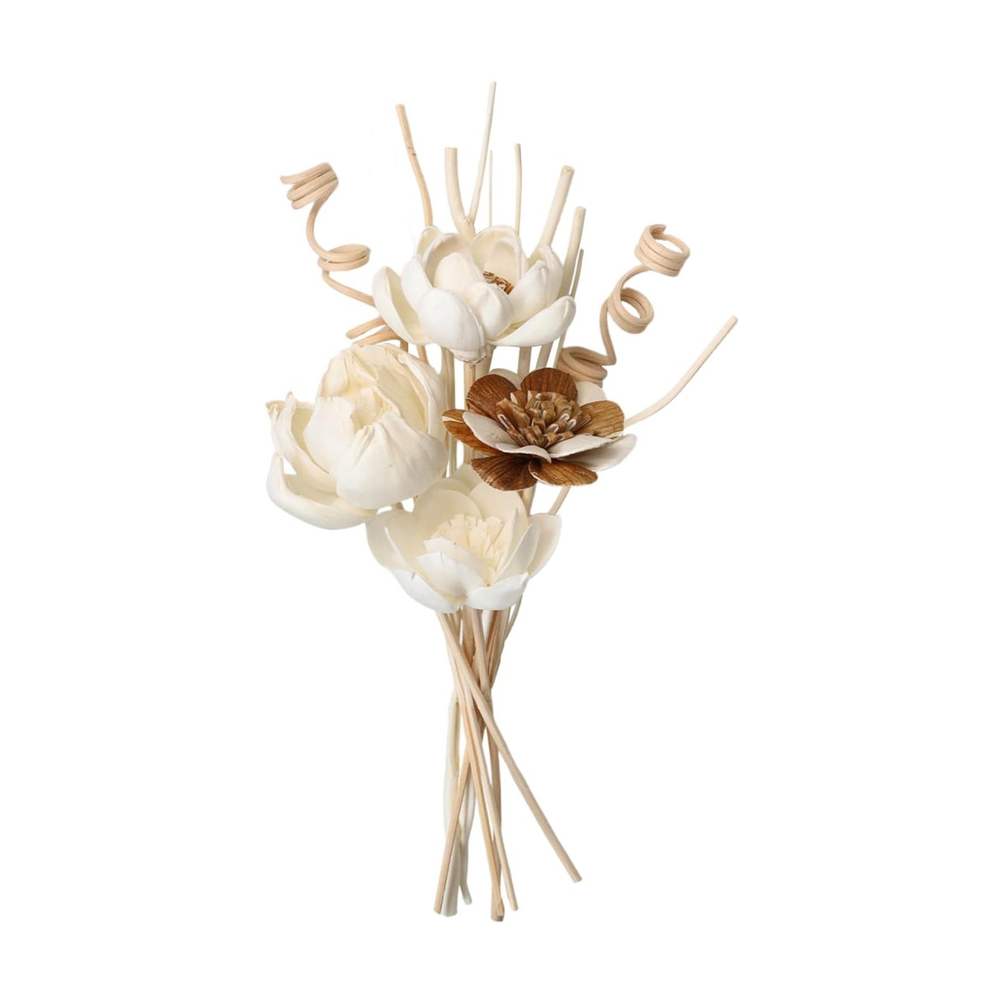 Flower Diffusers / Reed Diffuser Sticks / Natural / Set of 12