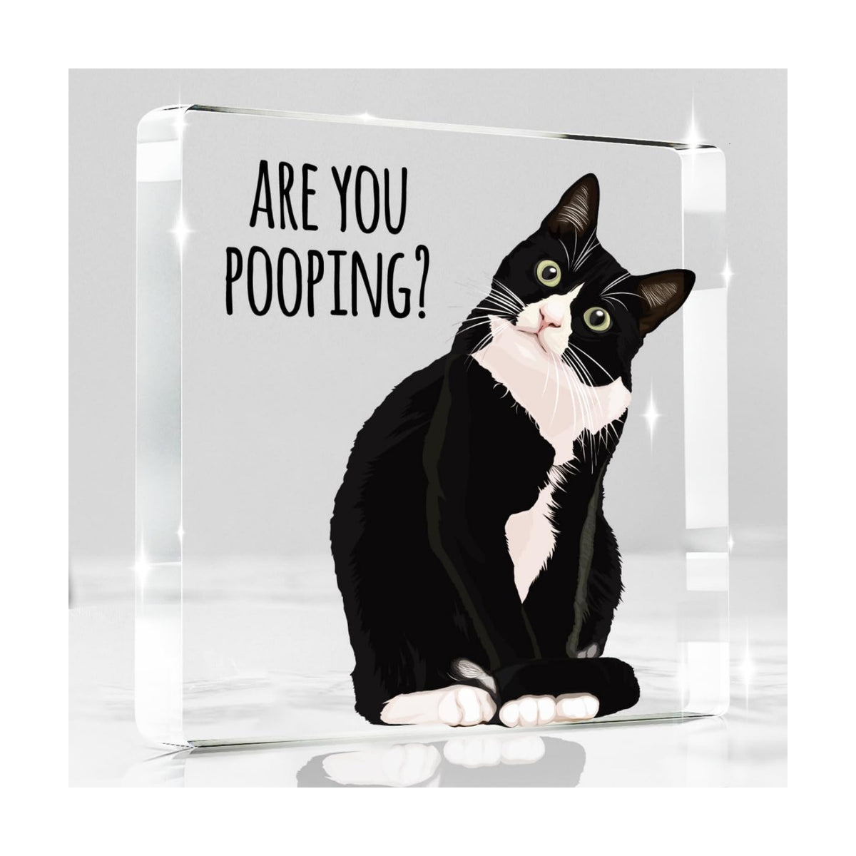 Are You Pooping Funny Sign，Black Cat Decor, Cat Bathroom Acrylic Decor，Home Decor Bathroom Creative Gift For Women Men，Funny Decorate Retro for Home Toilet