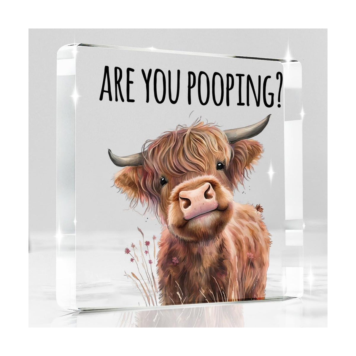 Highland Cow Bathroom Decor Gifts,Are You Pooping Funny Acrylic Sign Bathroom Decor for Western & Highland Cow Lovers Gifts for Coworker, Friends, Boss, Men, Women 4x4 Inch