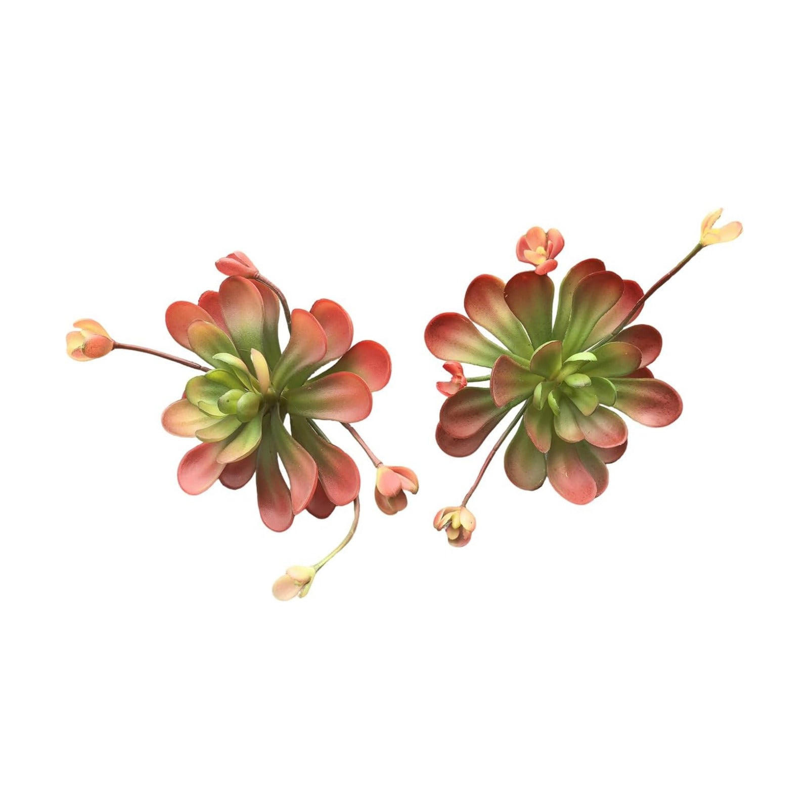 Artificial Succulent Plants / Red-a / Set of 2