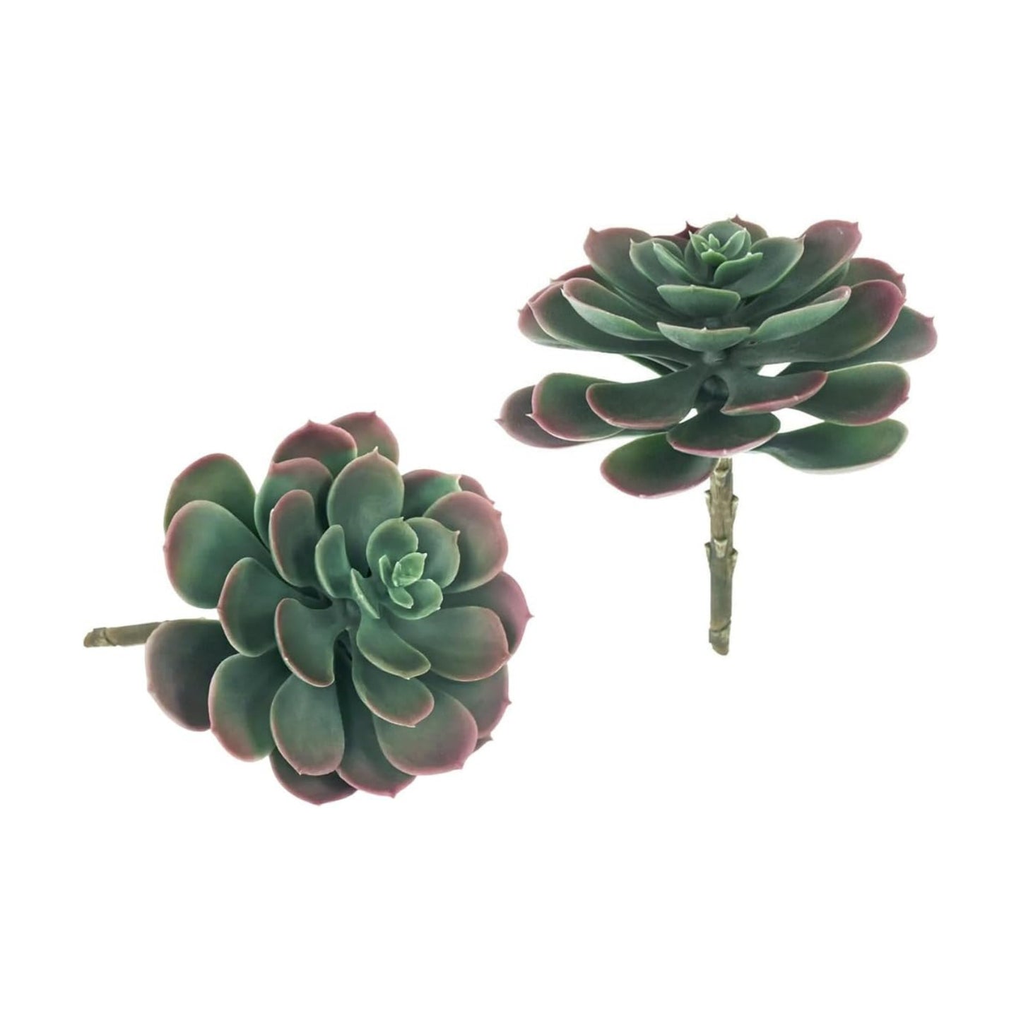 Artificial Succulent Plants / Autumn / Set of 2