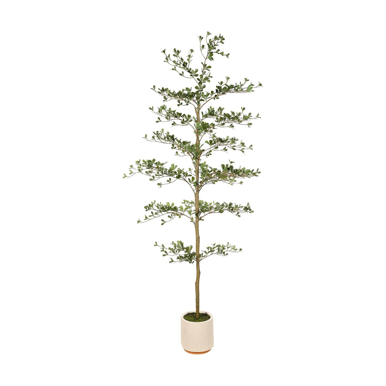 Faux Olive Tree / 7ft / Black / 7 Inch