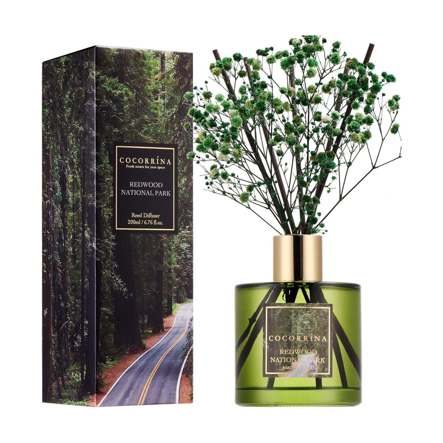 COCORRÍNA Reed Diffuser - Redwood National Park 6.7 Fl.oz Reed Diffuser Set with 8 Sticks & Preserved Baby's Breath