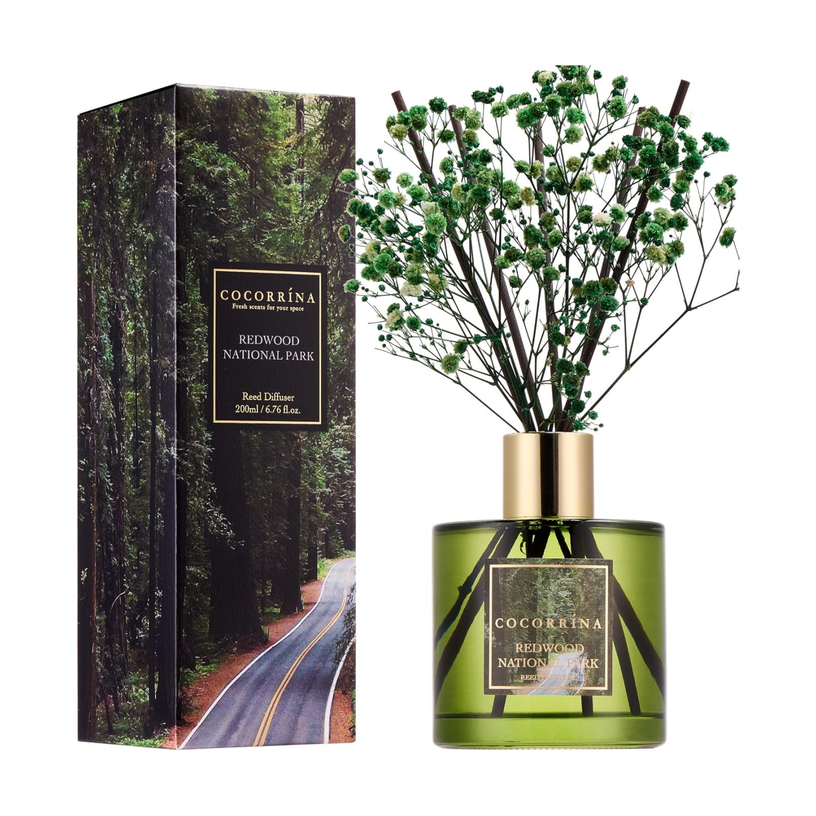 COCORRÍNA Reed Diffuser - Redwood National Park 6.7 Fl.oz Reed Diffuser Set with 8 Sticks & Preserved Baby's Breath