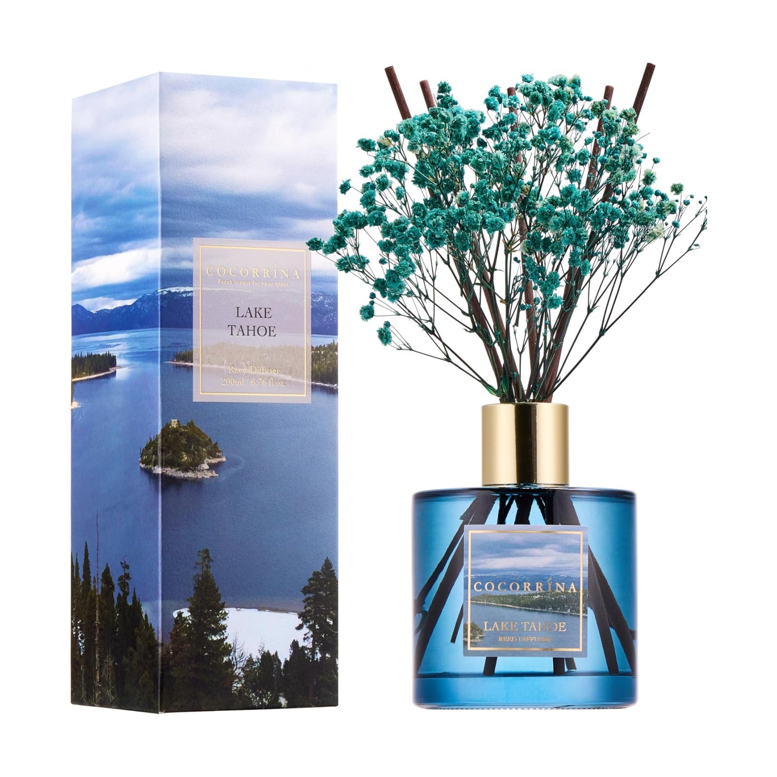 COCORRÍNA Reed Diffuser - Lake Tahoe 6.7 Fl.oz Reed Diffuser Set with 8 Sticks & Preserved Baby's Breath, Reed Diffuser