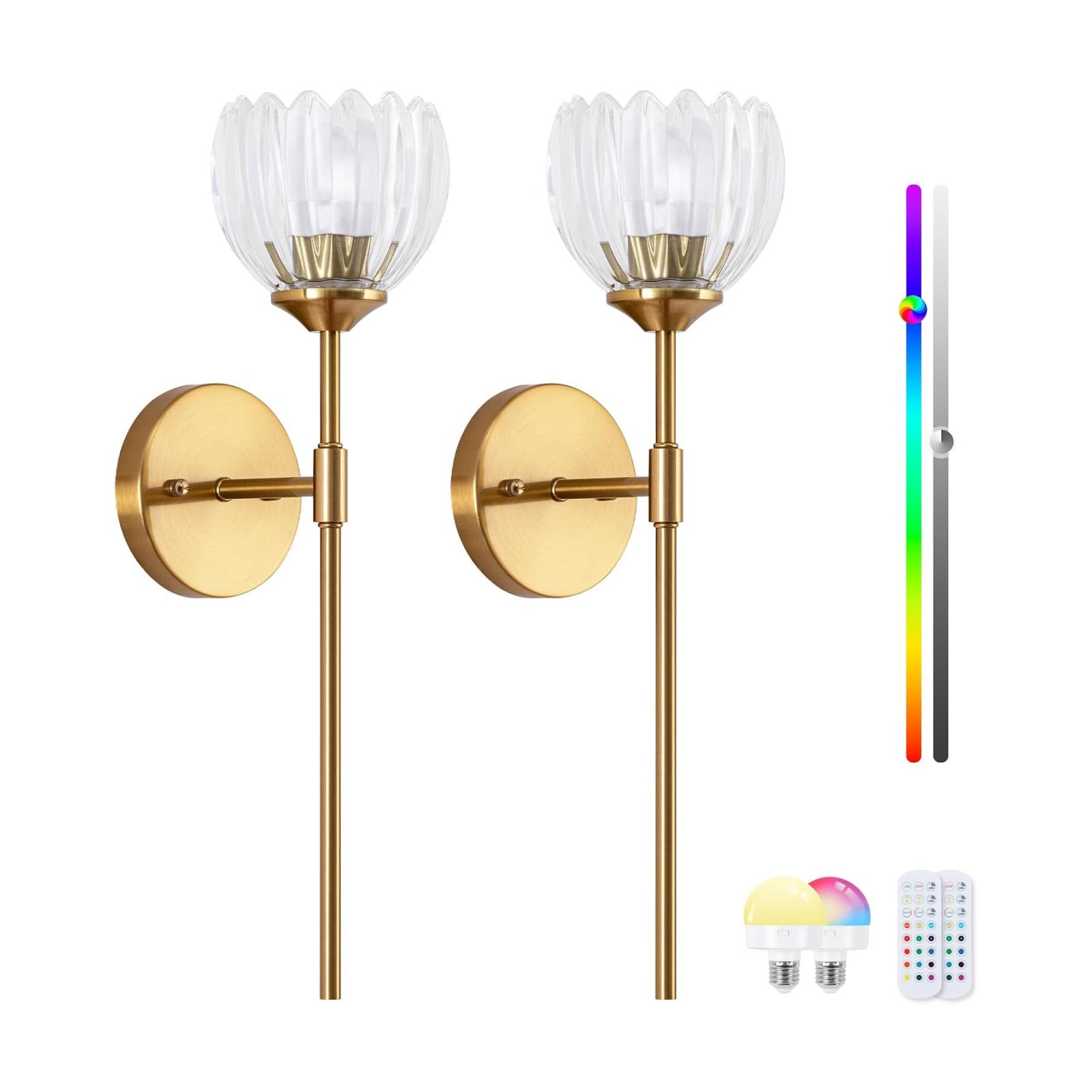 Vintage Battery Operated Wall Sconce Set of 2,Rechargeable Wall Lights with RGB Dimmable Detachable Bulbs and