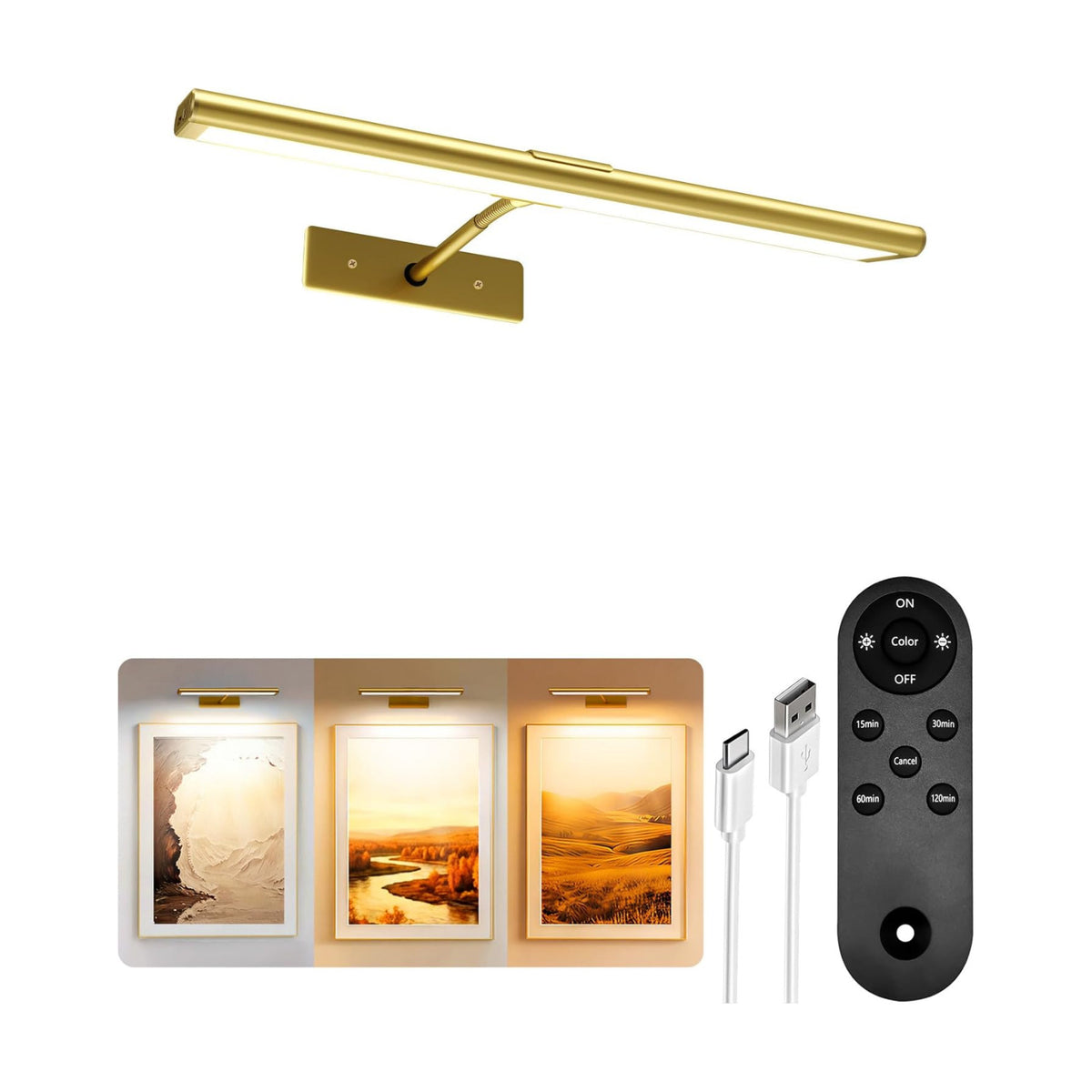 EZVALO Picture Light for Wall, 4800mAh Rechargeable Wireless Remote, 13'' Dimmable Magnetic LED Art Display Light with