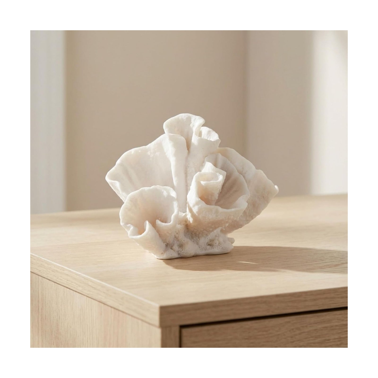 Room and Living Room Decor / Coastal Coral / Set of 6