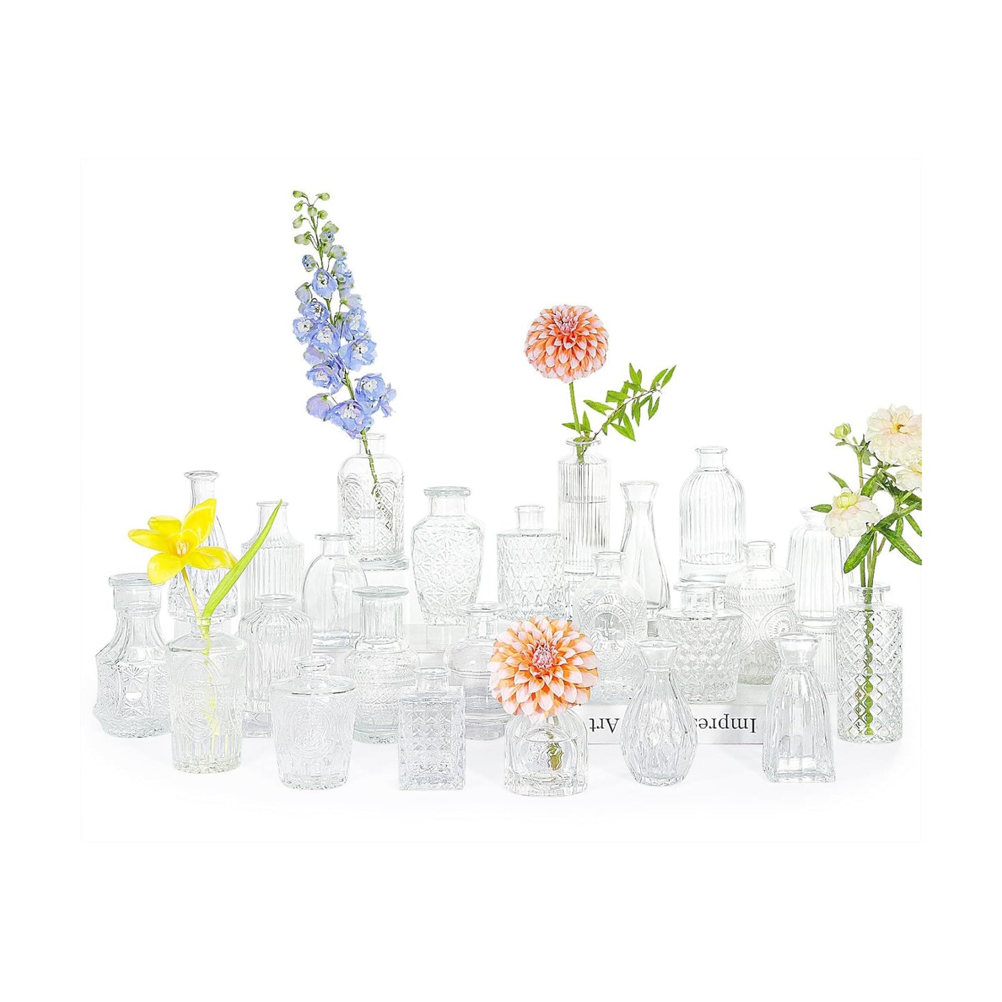 Glass Bud Vase Set / Clear / Set of 24