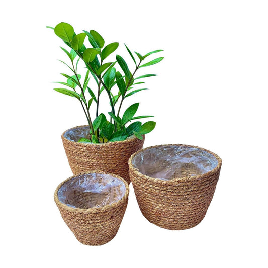 Woven Seagrass Plant Basket Without Handles / Without Handers / Natural / Set of 3