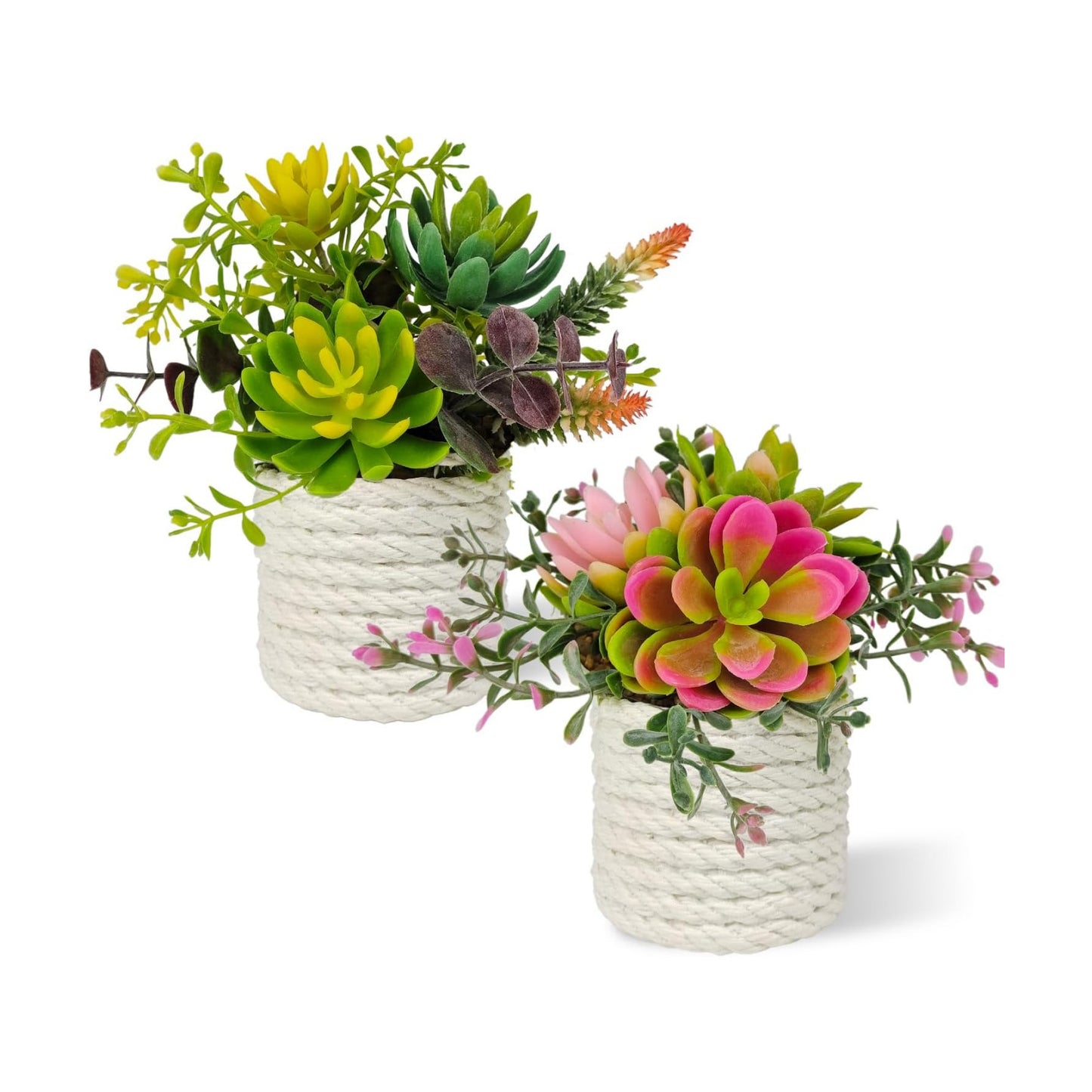 Fake Succulents Plants Artificial Small Succulent Plants Potted / Green / Set of 2
