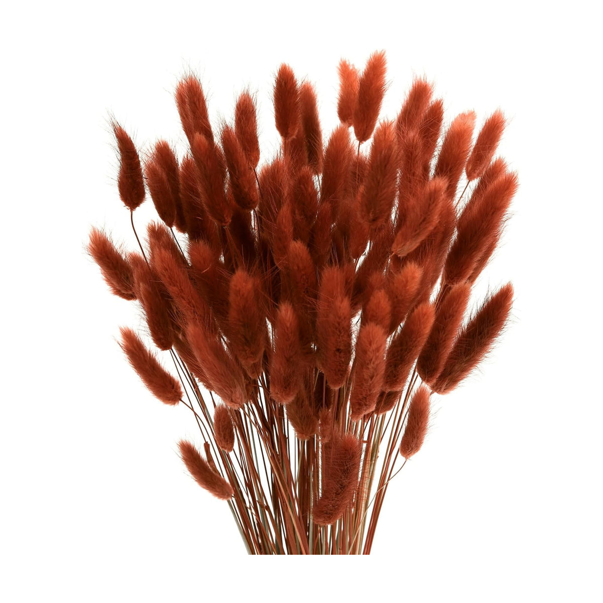 120pcs Bunny Tails Dried Flowers Pampas Grass Bouquet, Caramel